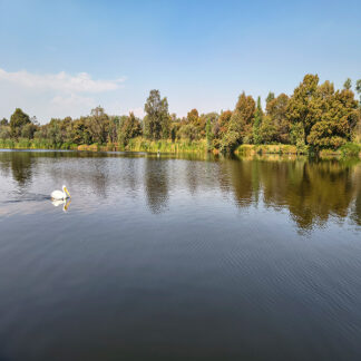 tour-parque-ecologico